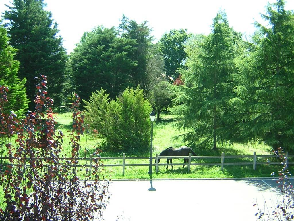 Posada Casa De Julia Parbayon Zewnętrze zdjęcie